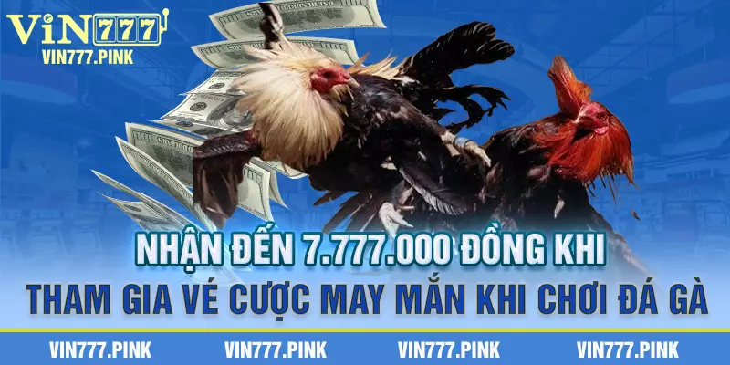 Nhận đến 7.777.000 đồng khi tham gia vé cược may mắn khi chơi đá gà 